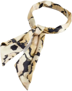 ASOS DESIGN leopard print skinny scarf